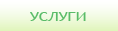 Счетоводни и консултантски услуги
