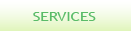 Accounting and consulting services